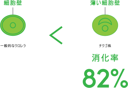 一般的なクロレラ < チクゴ株（消化率 82%）