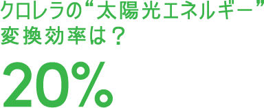 クロレラの“太陽光エネルギー” 変換効率は?20%