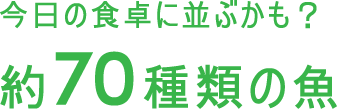 今日の食卓に並ぶかも?約70種類の魚