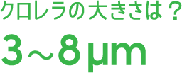 クロレラの大きさは?3〜8μm