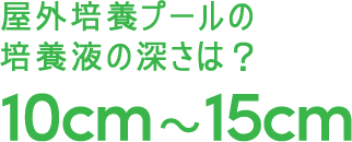 屋外培養プールの 培養液の深さは?10cm〜15cm