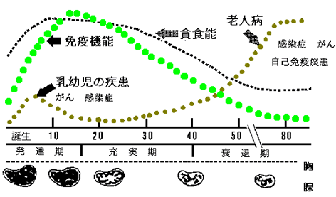 生体防御能力の変動