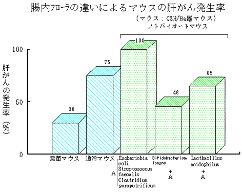 腸内フローラと発がん