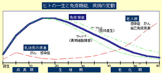 ヒトの一生と生体防御機能、疾病の変動