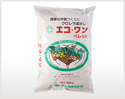 エコ・ワン