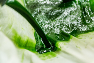 The suited environment for chlorella growth