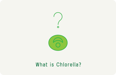 What is chlorella?