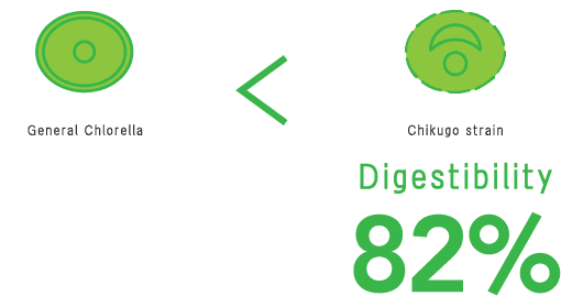 General chlorella < Chikugo strain（Digestibility 82%）