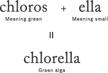 What is Chlorella?