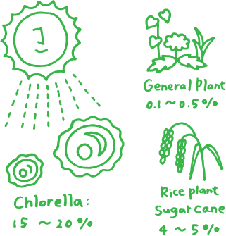 What is the “solar energy” conversion efficiency of chlorella?20%