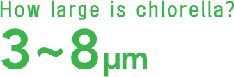 How large is chlorella?3~8μm