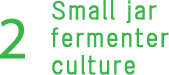 Small jar fermenter culture