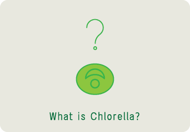 What is chlorella?