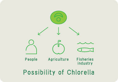 Possibility of chlorella