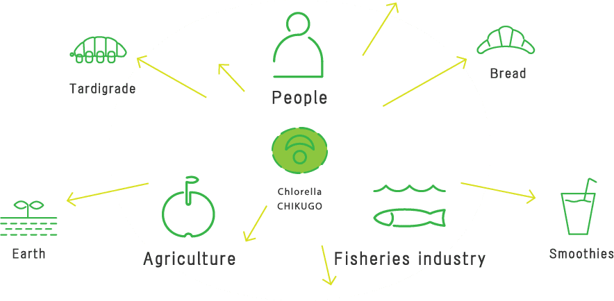 Expansion of fields